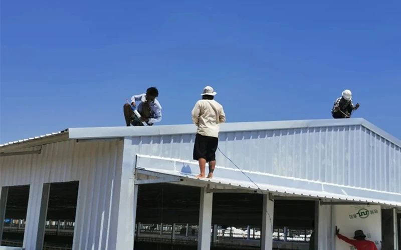 poultry farm installation